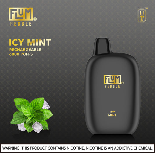 FLUM PEBBLE ICY MINT (Rechargeable)